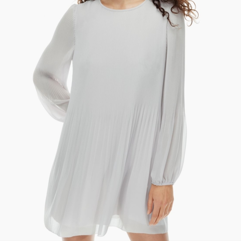 Aritzia Daydreamer Mini Dress